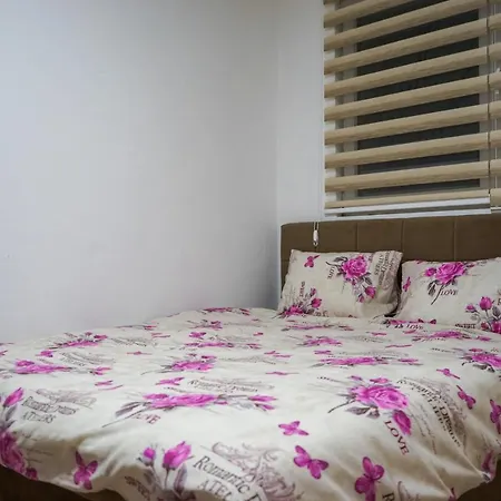 Apartment Apartman Mijovic *